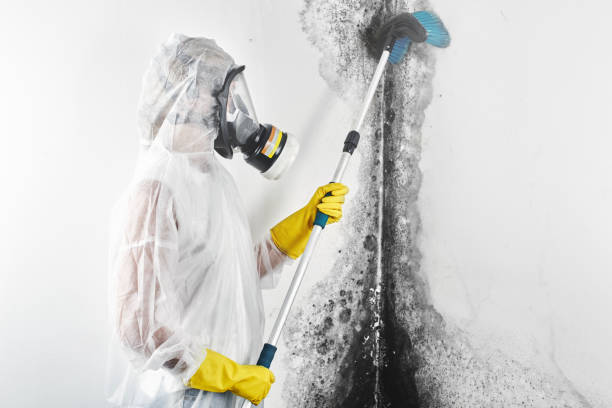 Best Mold-Related Health Consultation  in Moody Af, GA