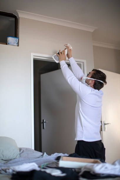 Best Basement Mold Removal  in Moody Af, GA