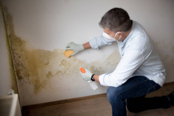 Best Real Estate Mold Inspection  in Moody Af, GA
